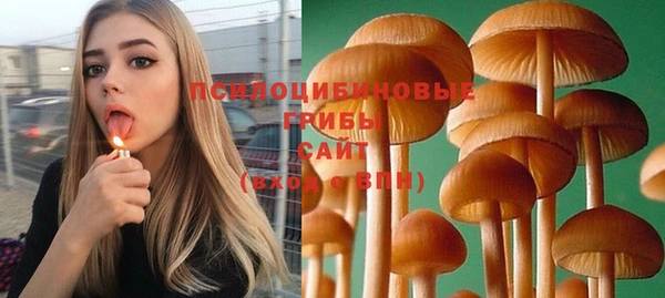 стафф Костерёво